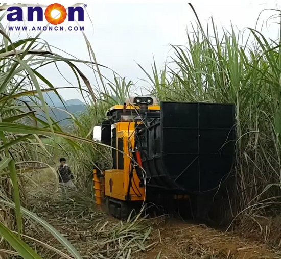 ANON Large Capacity Mini Sugarcane Harvester