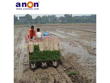 ANON Rice Transplanter,Riding Type Rice Transplanter