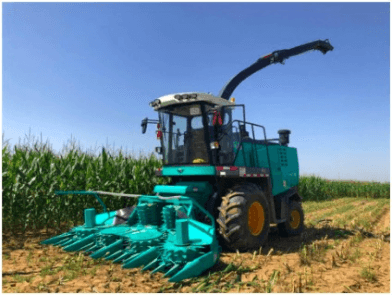 How do you harvest corn for silage?