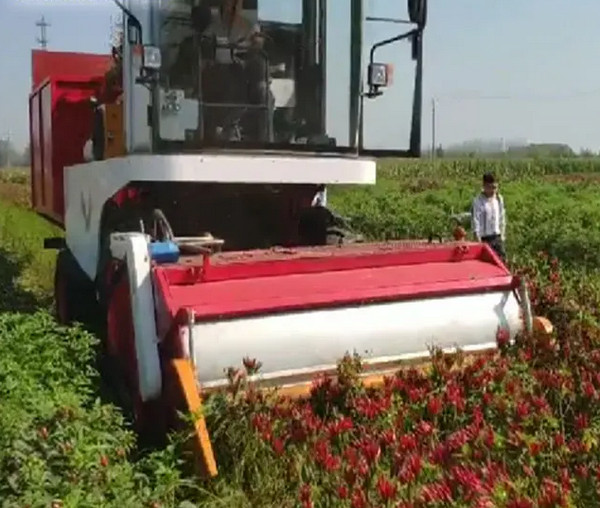 ANON chilli harvesting machine
