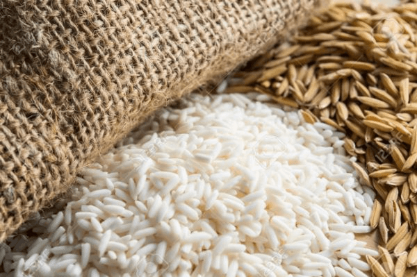 Facts About Rice: You Need to Know in 2024