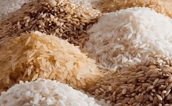 White Rice Processing: The Ultimate Guide for 2024