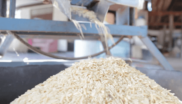 Rice Milling 101: An In-Depth Look at the Process