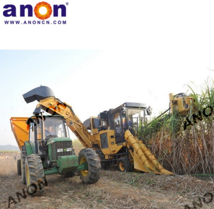 Anon Sugarcane Cutting Machine Whole Stalk Sugarcane Harvester