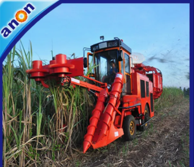 ANON new model whole stalk sugarcane harvester