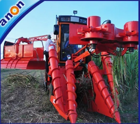 ANON new model whole stalk sugarcane harvester