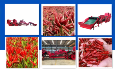 ANON Industrial Red Pepper Hot Chili Dry Washing Machine Chili Dust Removing Machine Pepper Cleaning Machine