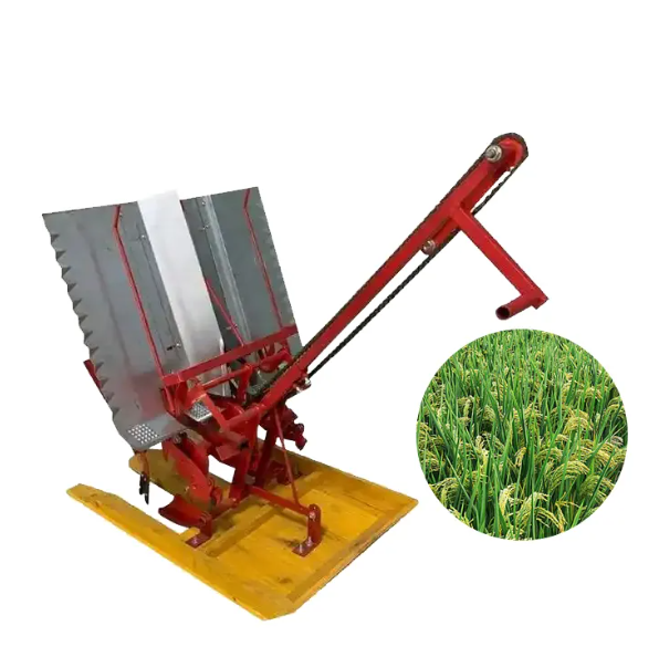 Manual Rice Transpalnter