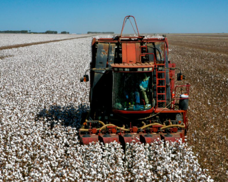 Cotton Harvester