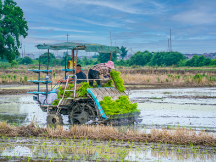 Recommendations for Use