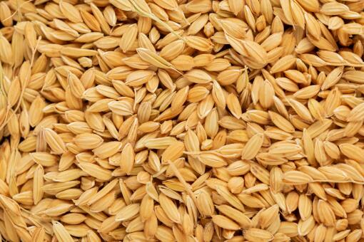 Good drying quality