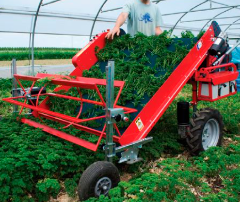 Vegetable Harvester