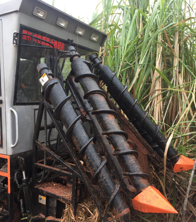 Whole Stalk Sugarcane Harvester