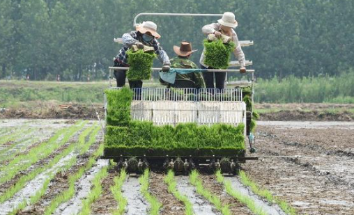 High mechanization