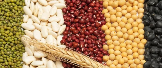 One machine for multiple uses