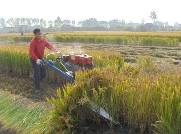 Integrated operation