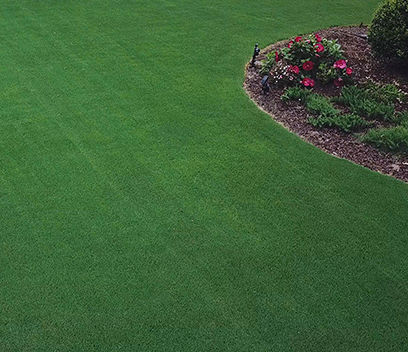 Good mowing effect