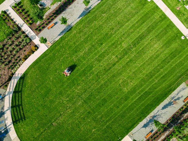 Wide Application Range