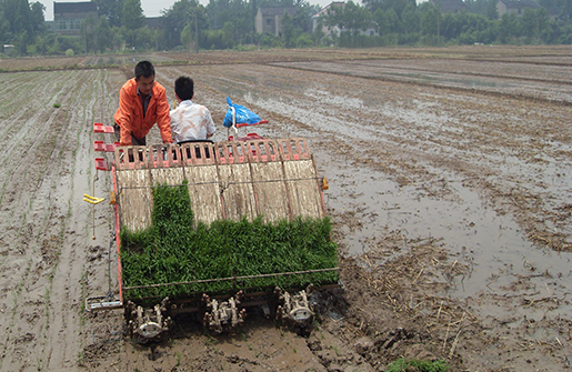 Economical and durable