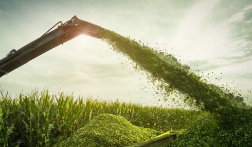 Controllable Quality