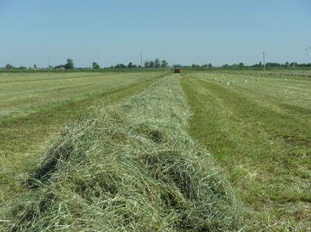 Protect the grass quality