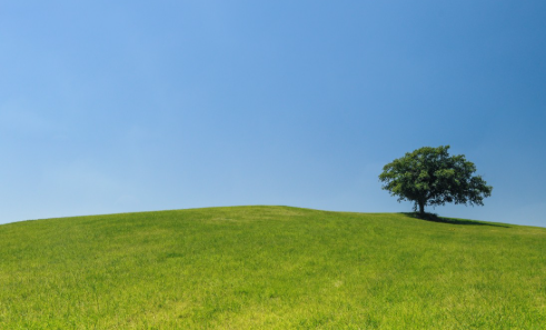 Good terrain adaptability