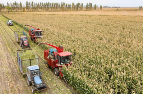 High Safety and Reliability