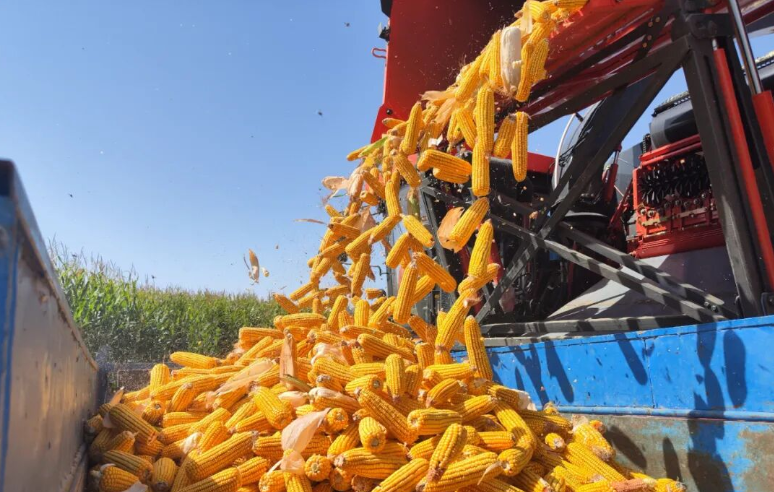 High-efficiency Hulling