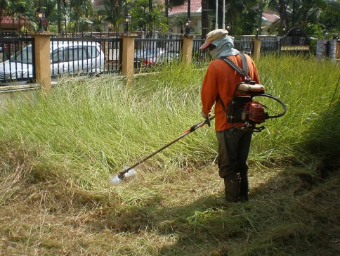 Best value for money