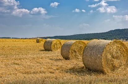 Environmental Protection