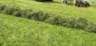 Superior Hay Quality