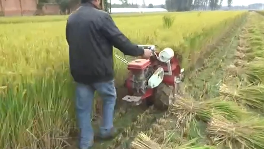 Multi-crop compatibility