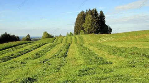 Superior Cutting Quality