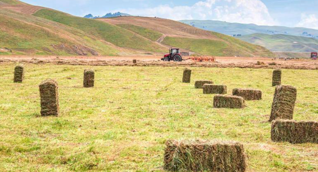 All-terrain capability