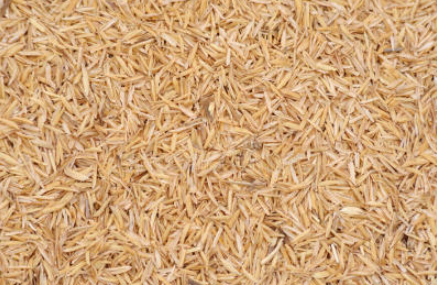 Automatic Rice Bran Separation