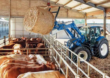 Primary Farm Operations