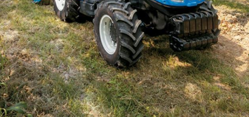 Protect Your Soil First