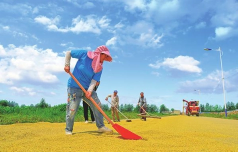 Reduced Labor Costs