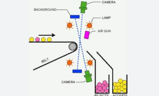 Crawler-type color sorter