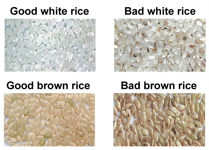 Rice industry