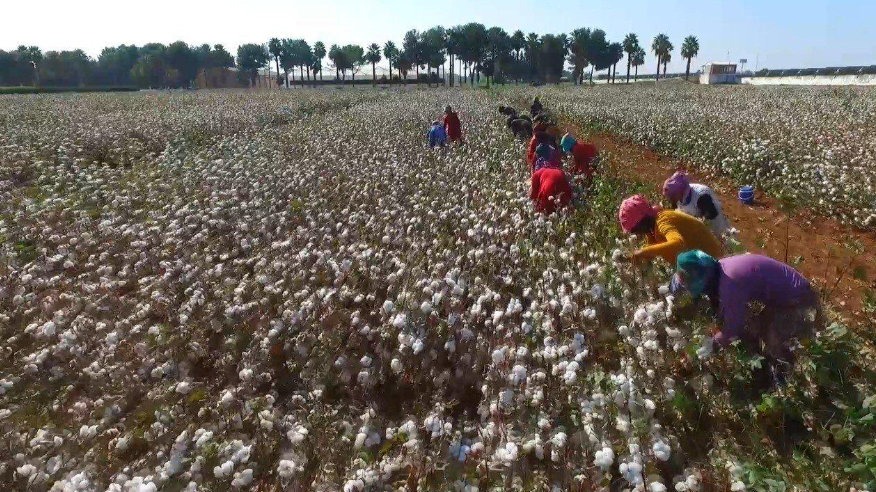Reduce Manual Labor